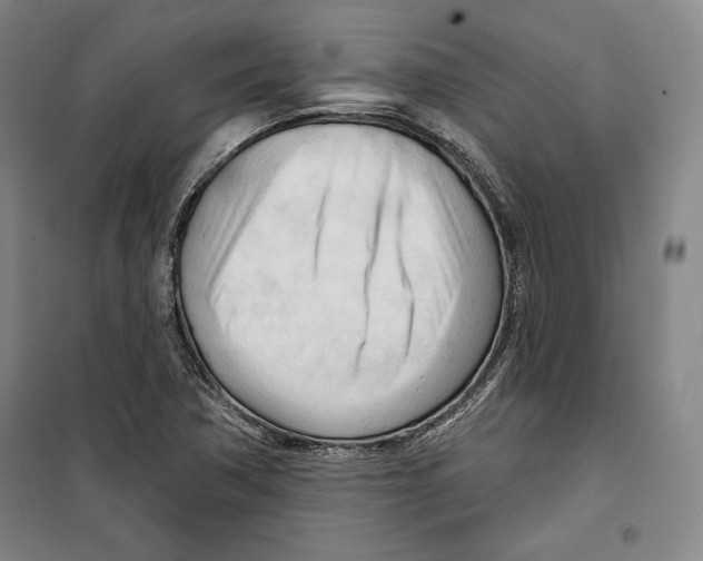 X0000099451362200806061056