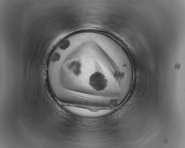 X0000099451363200806061056