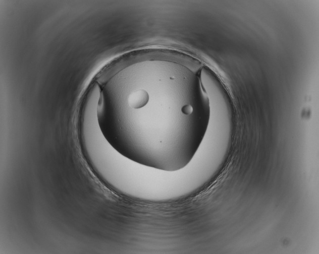 X0000099451368200806061056