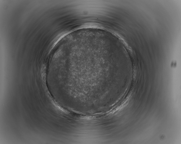 X0000099451369200806061056