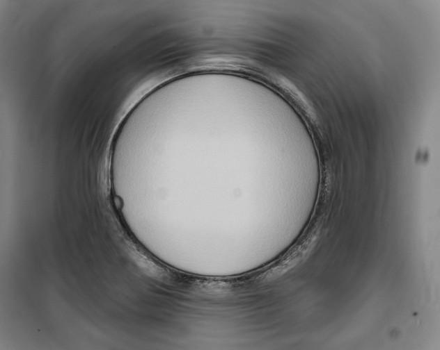 X0000099451370200806061056