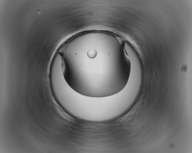 X0000099451372200806061056