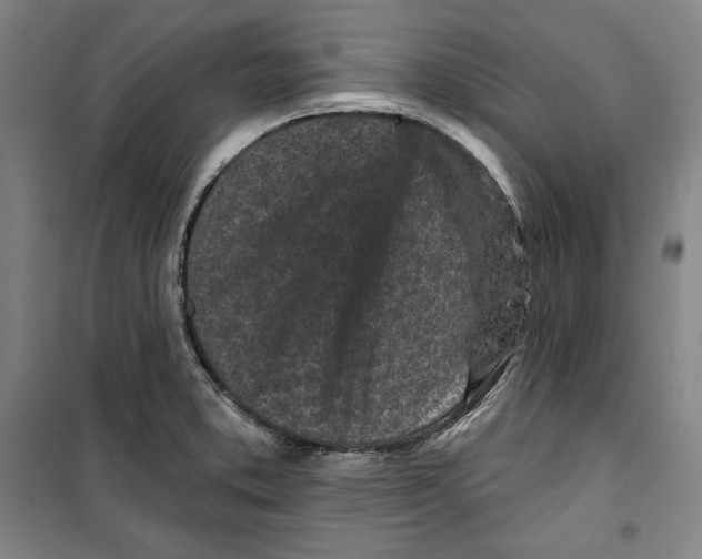 X0000099451373200806061056