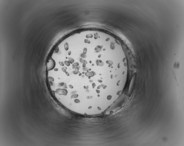 X0000099451376200806061056