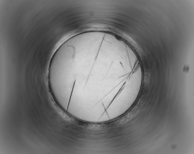 X0000099451378200806061056