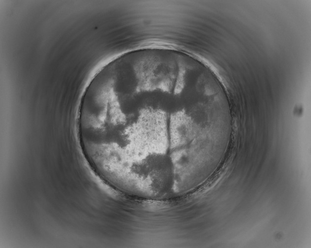 X0000099451379200806061056