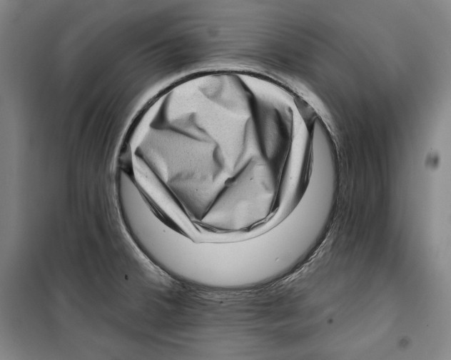 X0000099451380200806061056