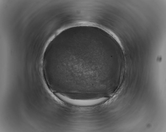 X0000099451381200806061056