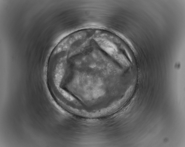 X0000099451383200806061056