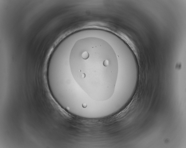 X0000099451384200806061056