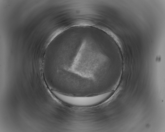 X0000099451385200806061056