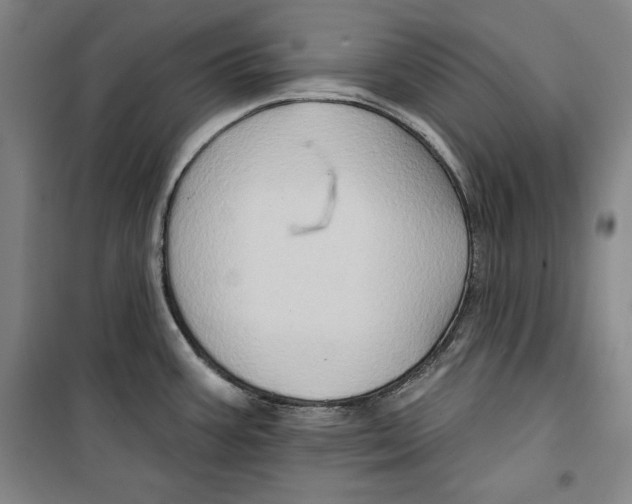 X0000099451387200806061056