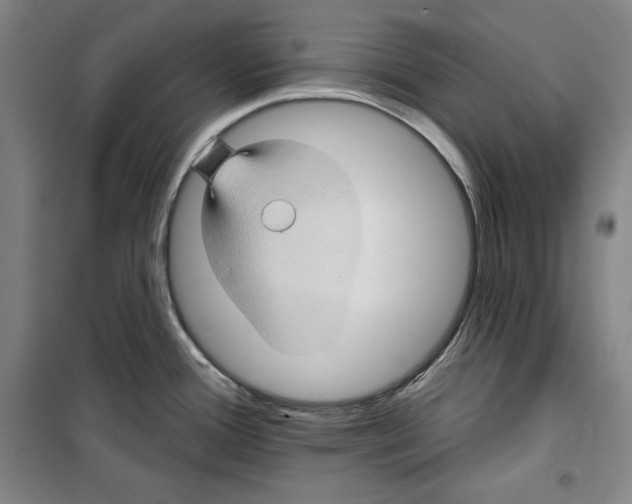 X0000099451388200806061056