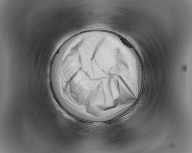 X0000099451390200806061056