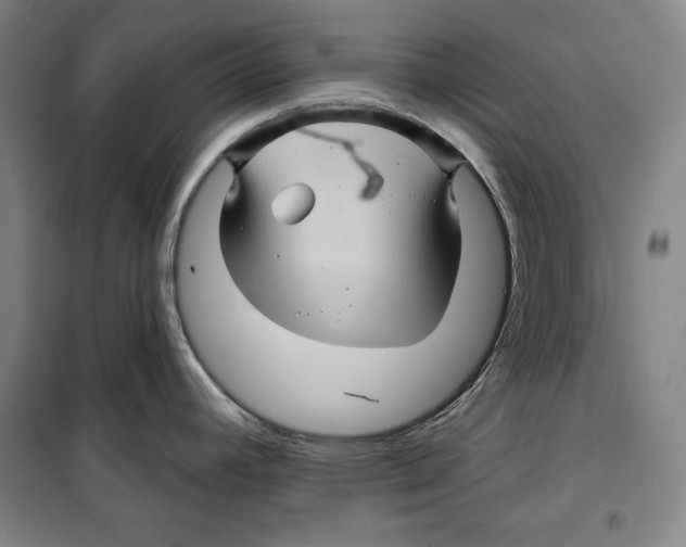 X0000099451392200806061056