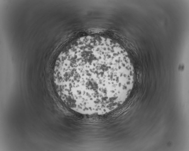 X0000099451393200806061055