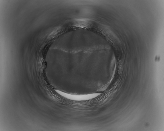 X0000099451394200806061055