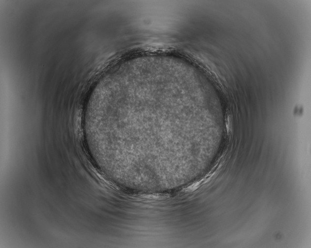 X0000099451396200806061055