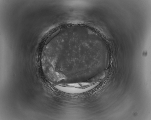 X0000099451398200806061055