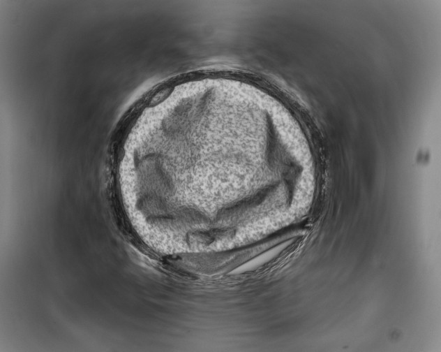 X0000099451400200806061055