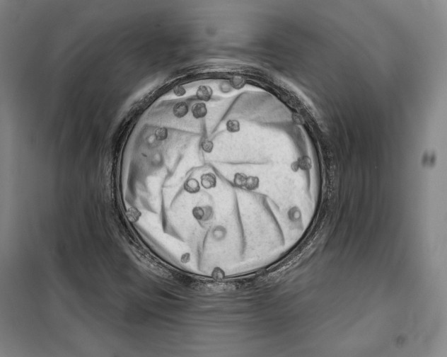 X0000099451403200806061055