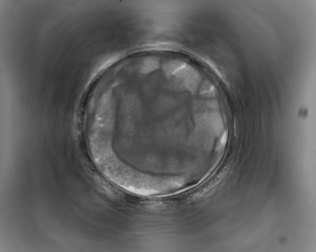 X0000099451405200806061055