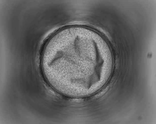 X0000099451406200806061055