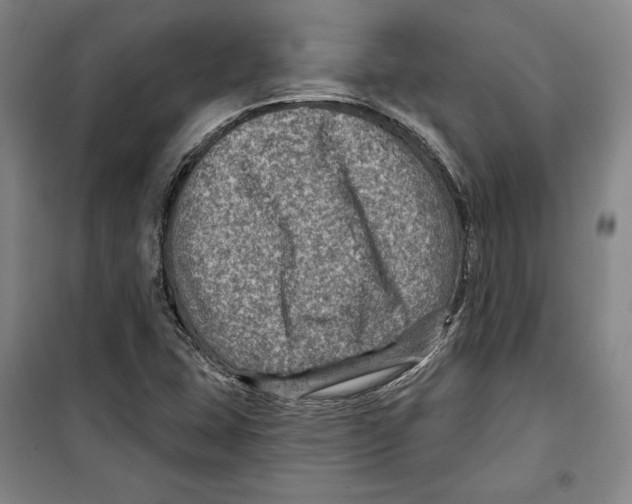 X0000099451407200806061055