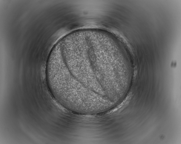 X0000099451409200806061055