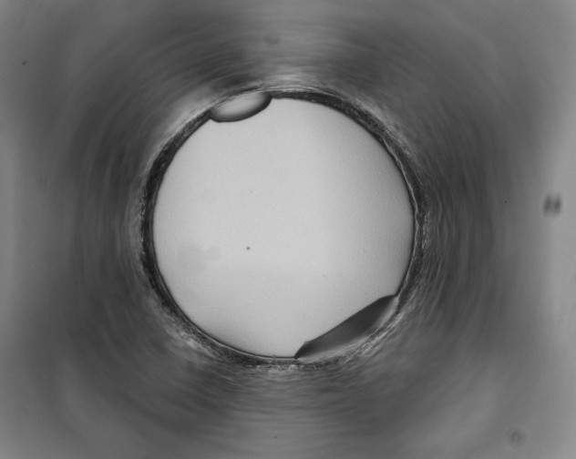 X0000099451410200806061055