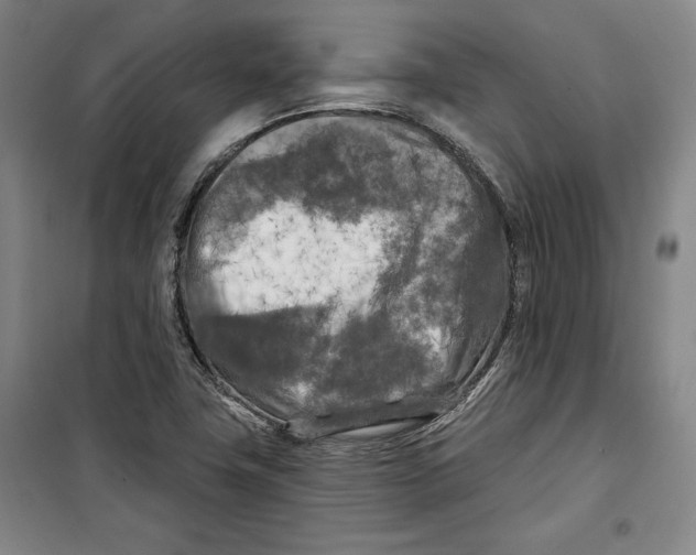 X0000099451411200806061055