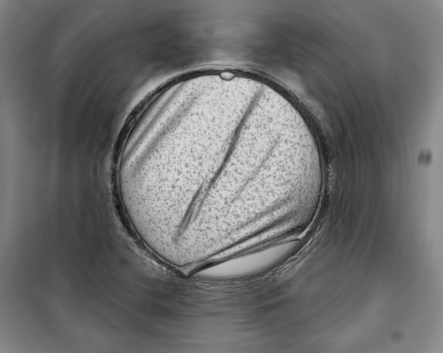 X0000099451412200806061055