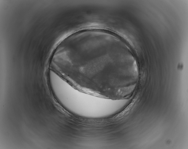 X0000099451413200806061055