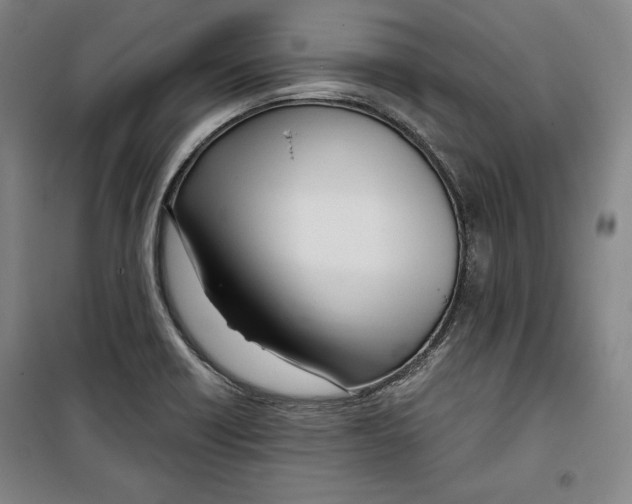 X0000099451418200806061055