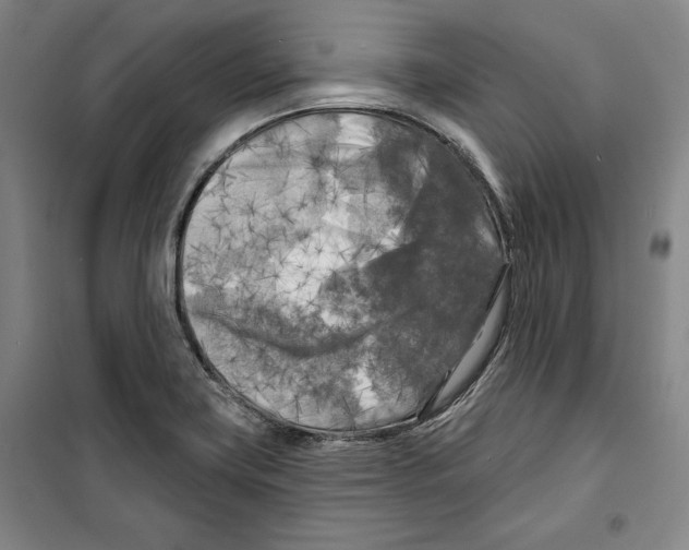 X0000099451419200806061055