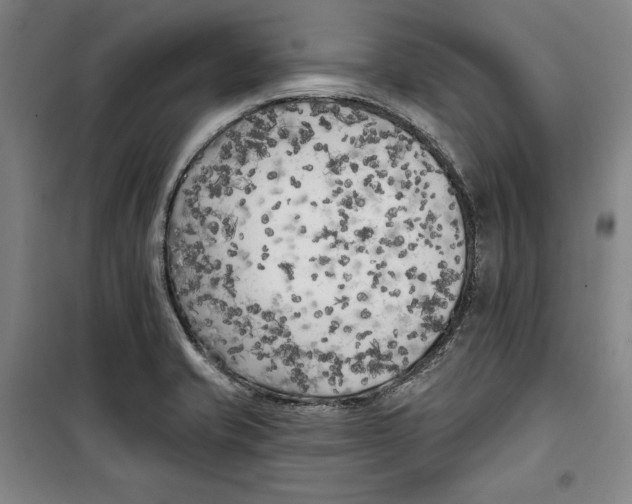 X0000099451421200806061055