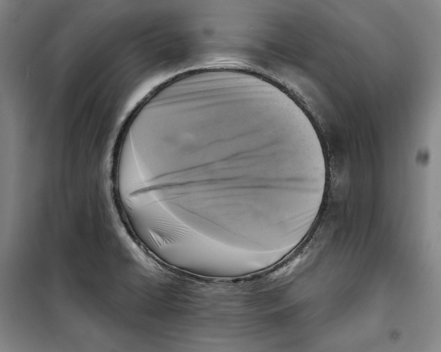 X0000099451422200806061055