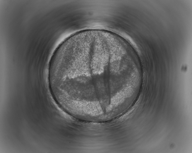 X0000099451424200806061055