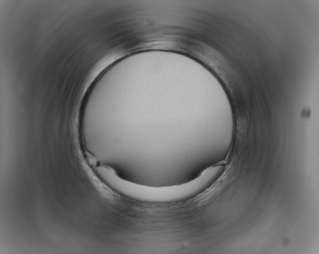 X0000099451426200806061055