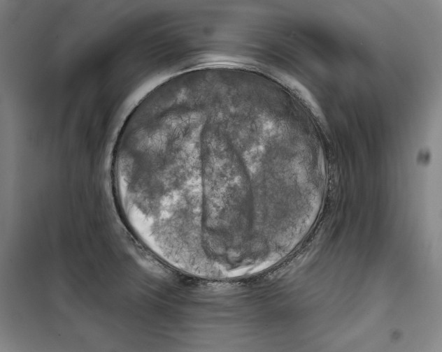 X0000099451427200806061055