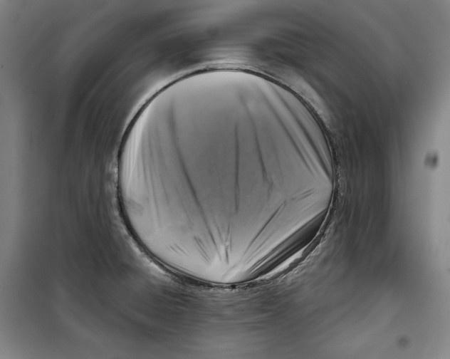 X0000099451428200806061055