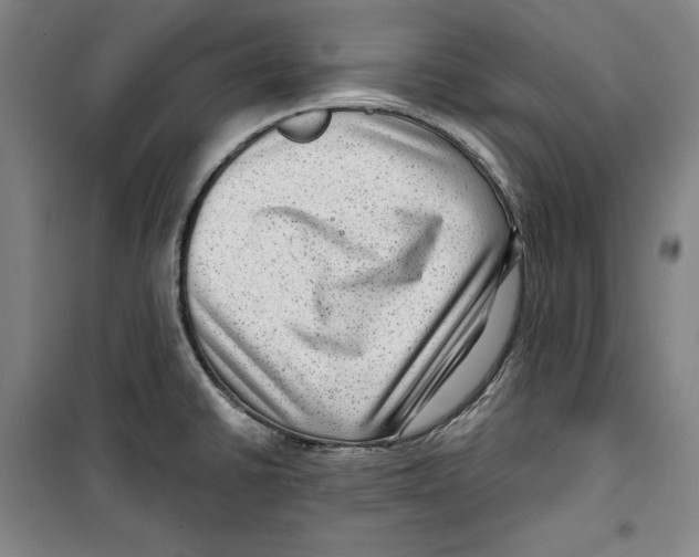 X0000099451430200806061055