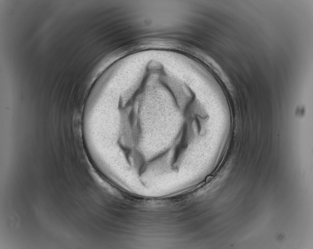 X0000099451433200806061055