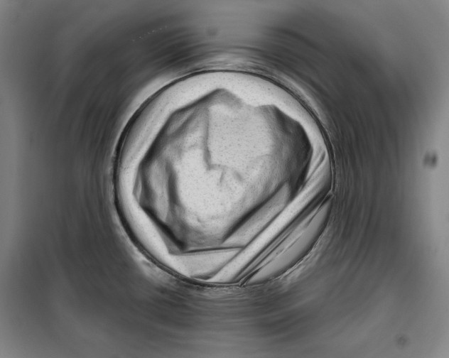 X0000099451434200806061055