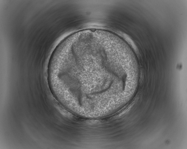 X0000099451435200806061055