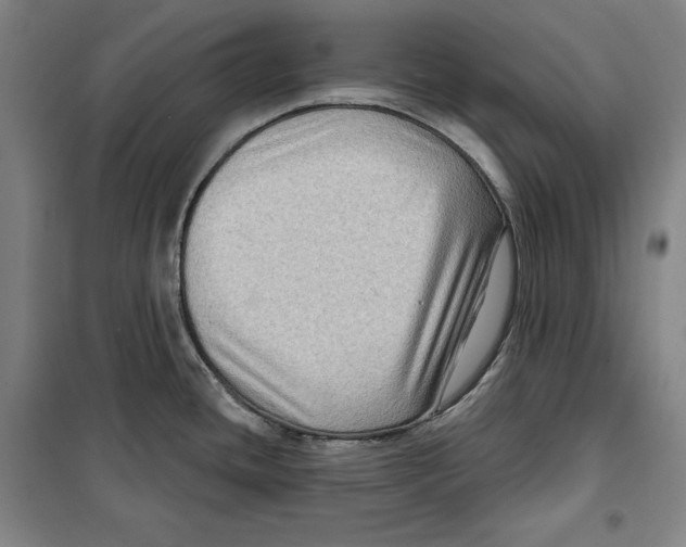 X0000099451436200806061055