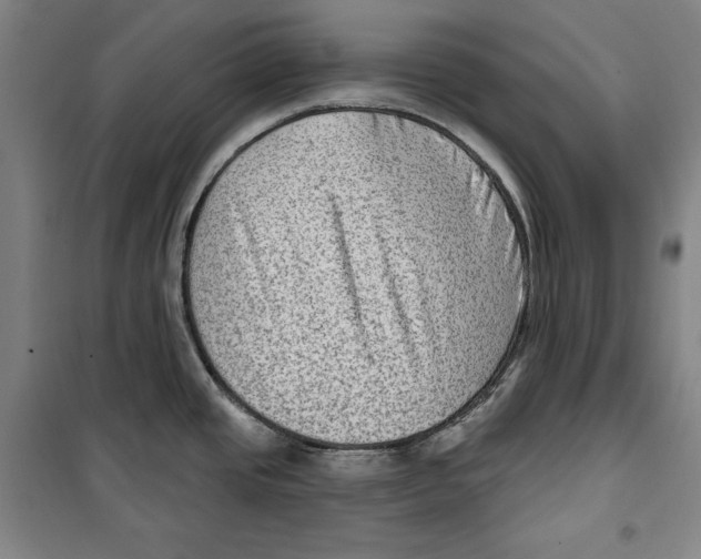 X0000099451437200806061056