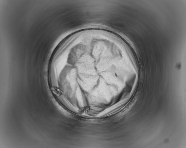 X0000099451438200806061056