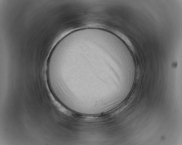 X0000099451439200806061056