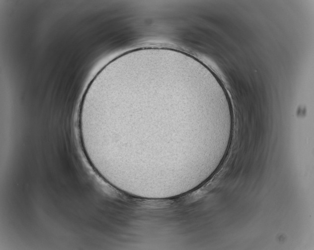 X0000099451440200806061056